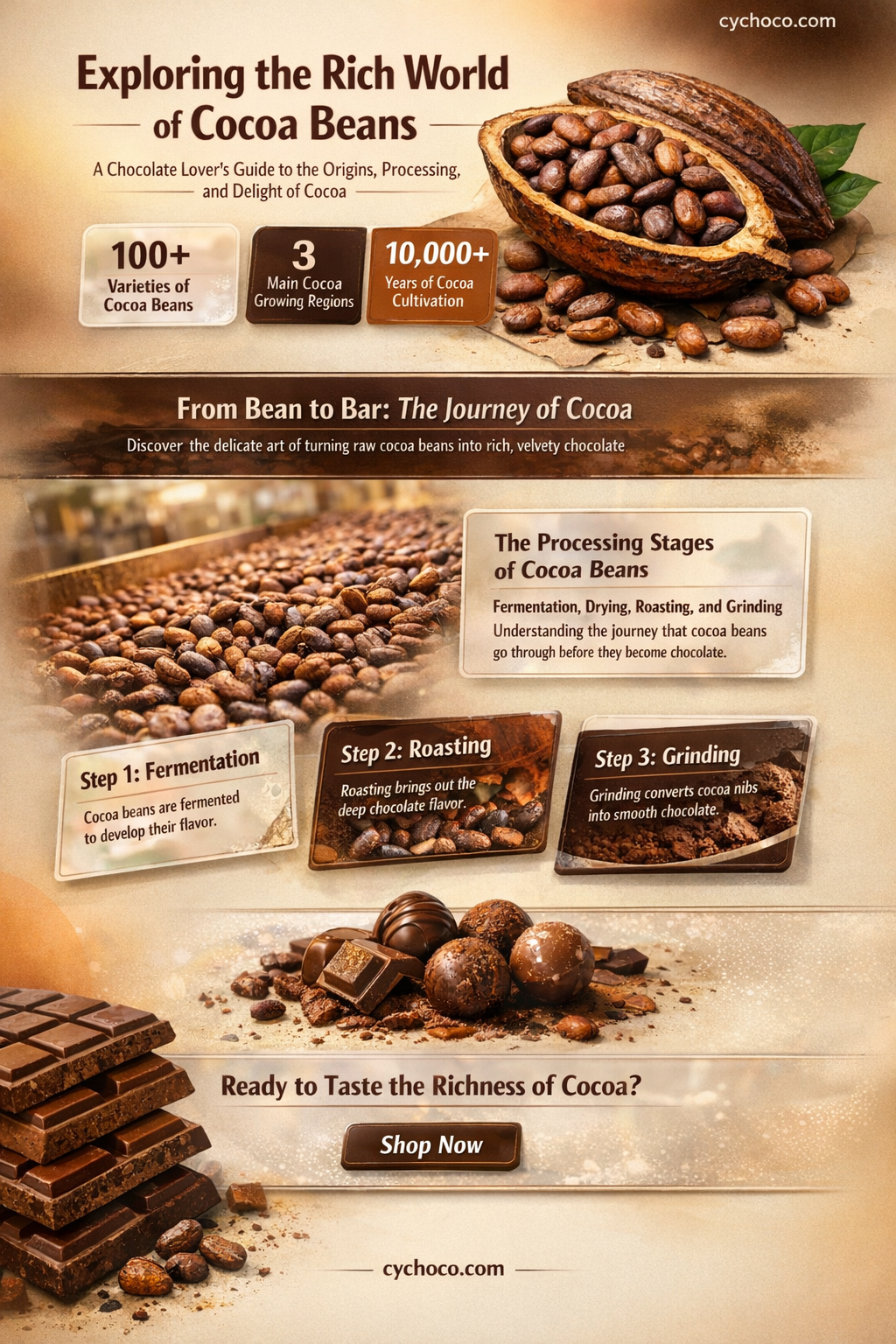 are cocoa beans
