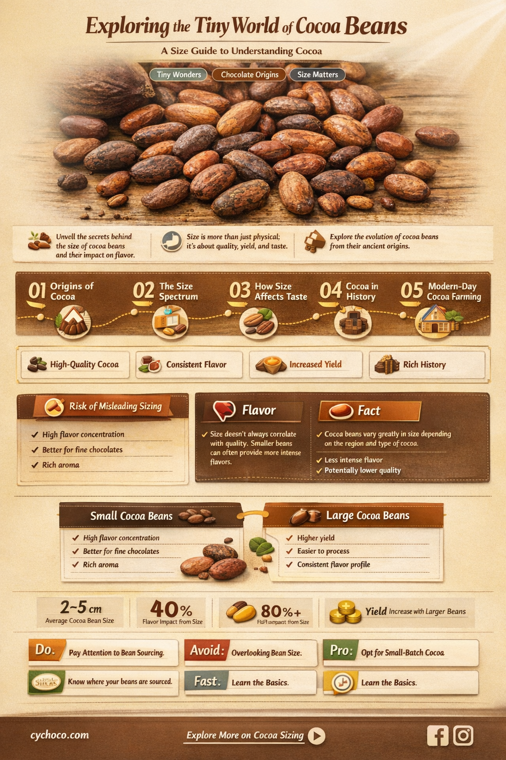 how big is a cocoa bean