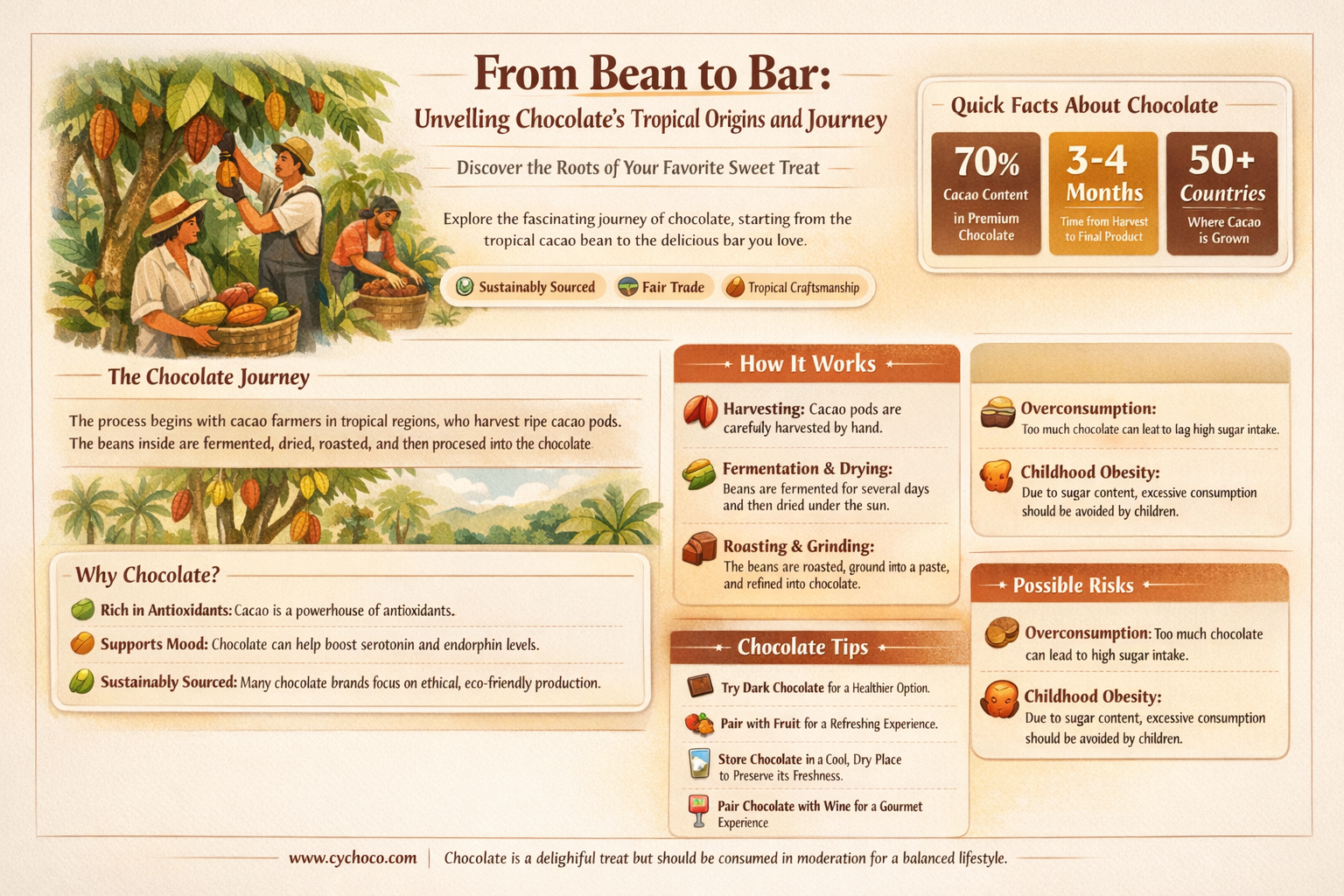 where chocolate comes from