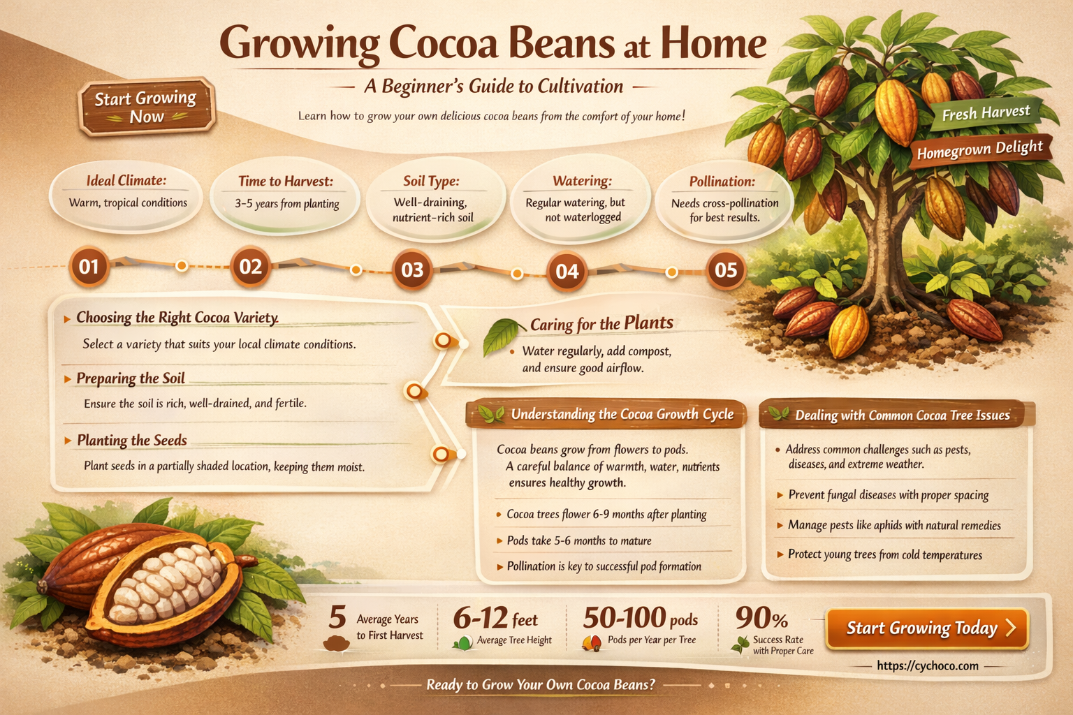 can i grow cocoa beans