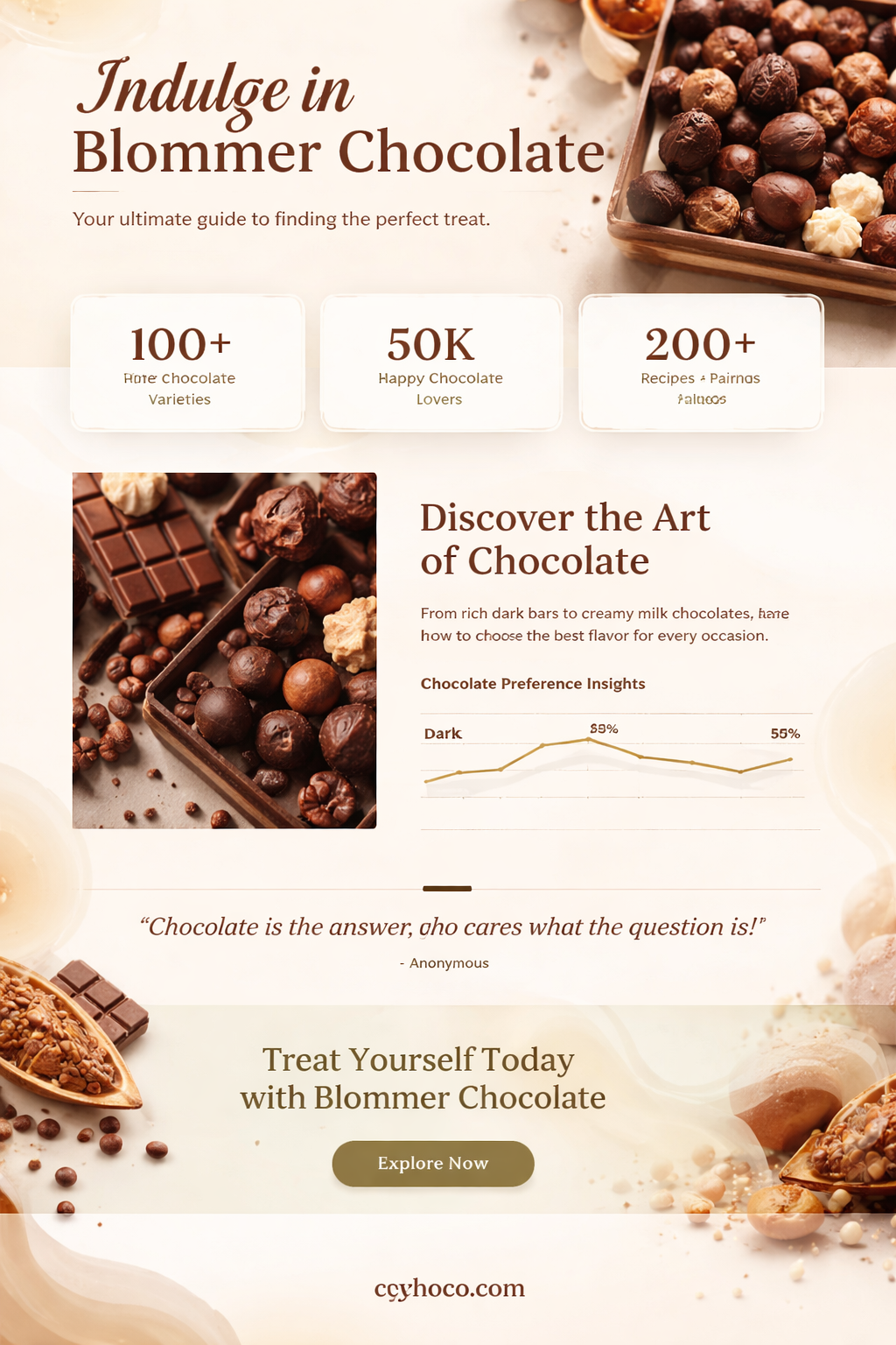 where to buy blommer chocolate