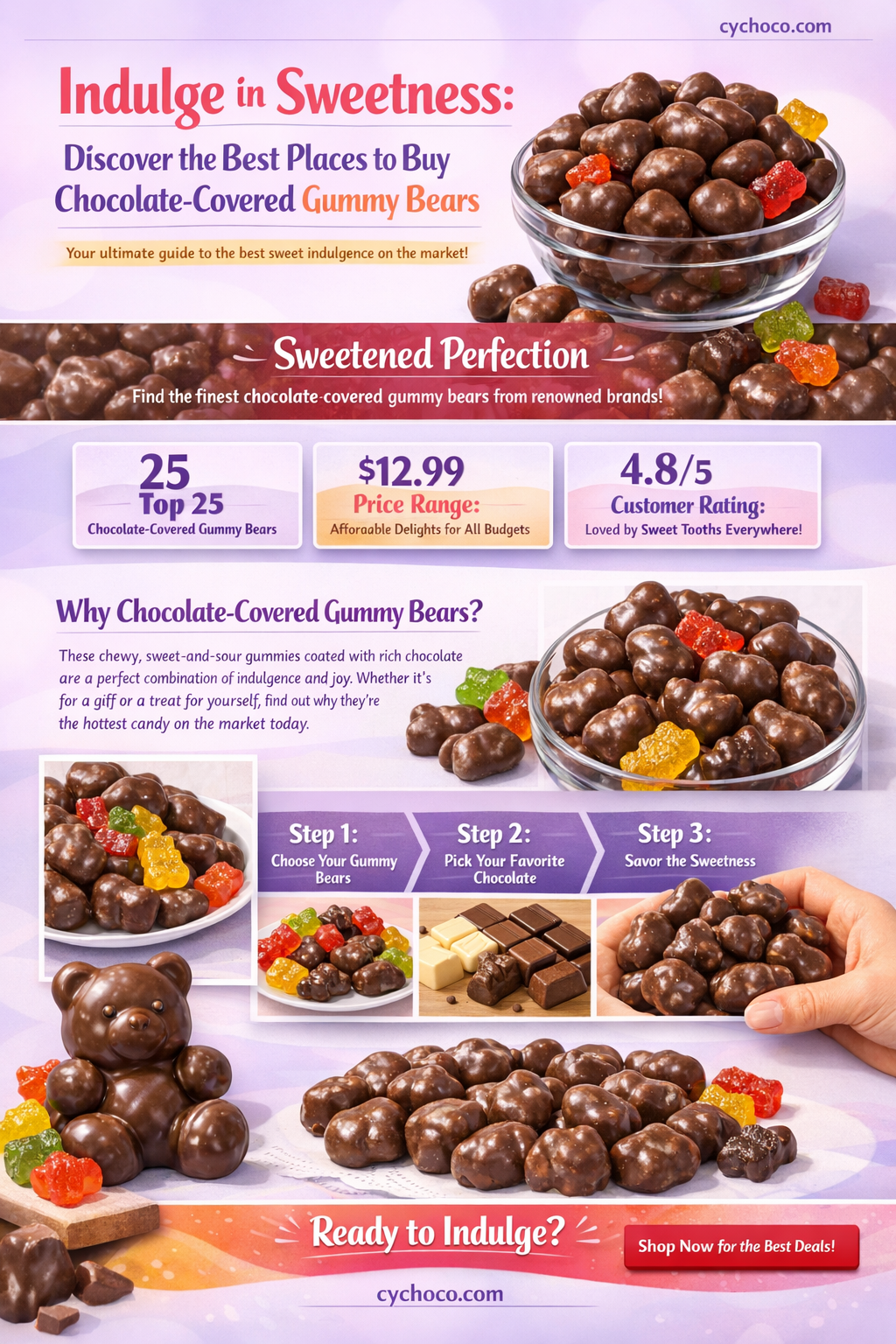 where to buy chocolate covered gummy bears