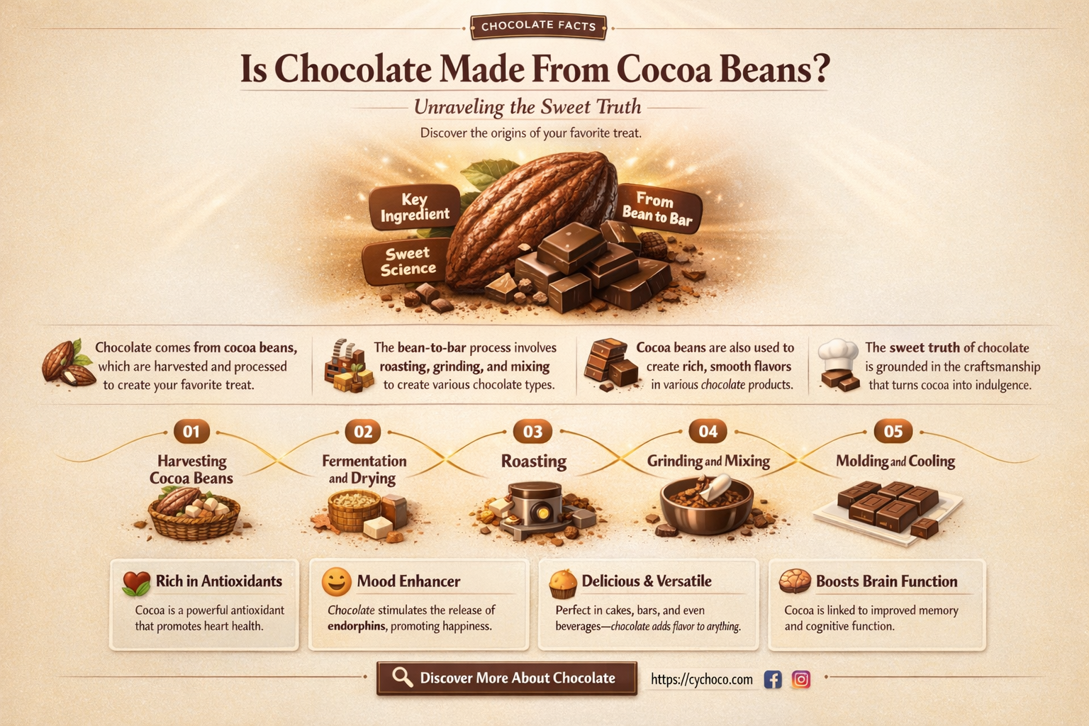 is chocolate made from cocoa beans