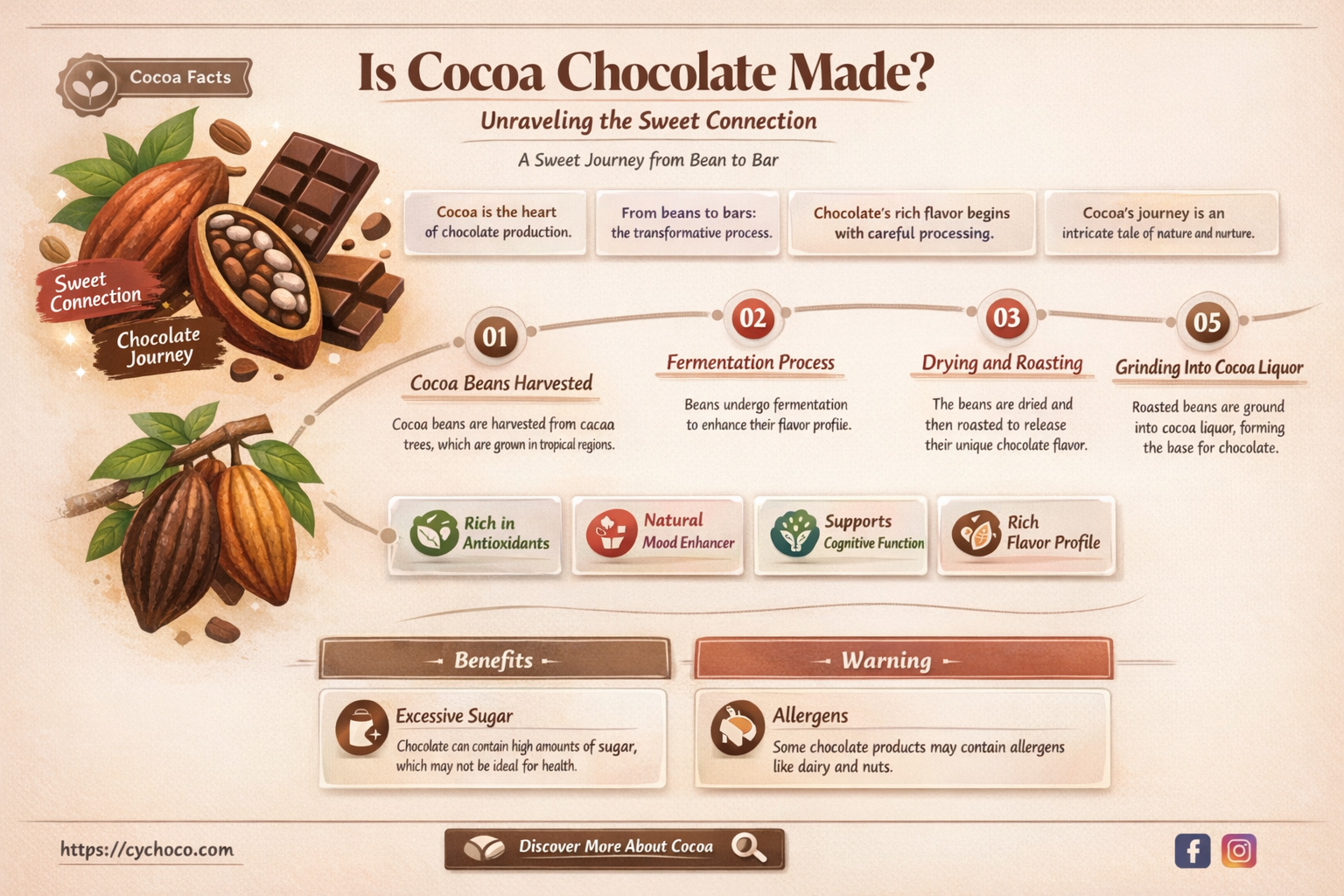 is cocoa chocolate made