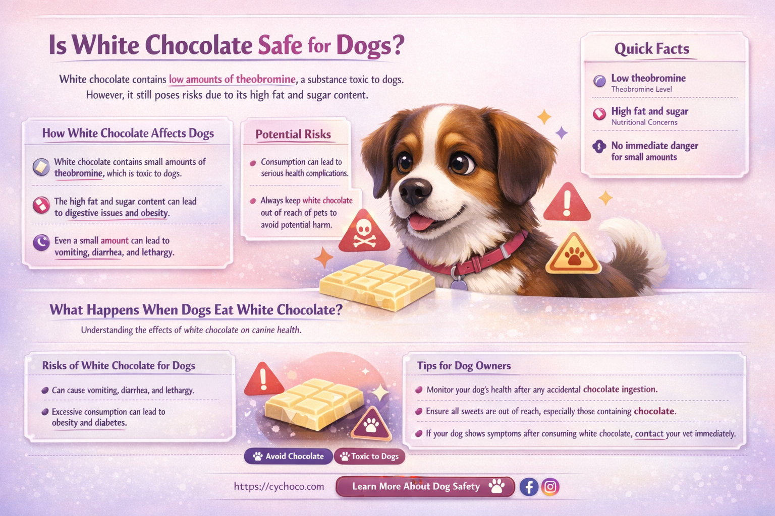 does white chocolate kill dogs