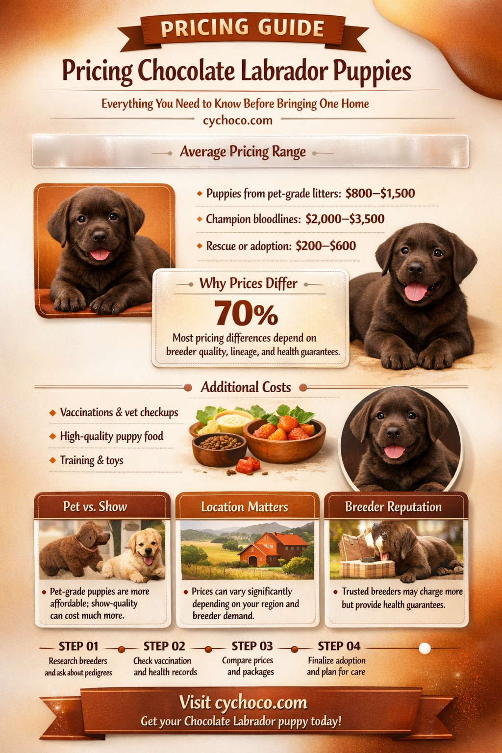 how much are chocolate labrador puppies