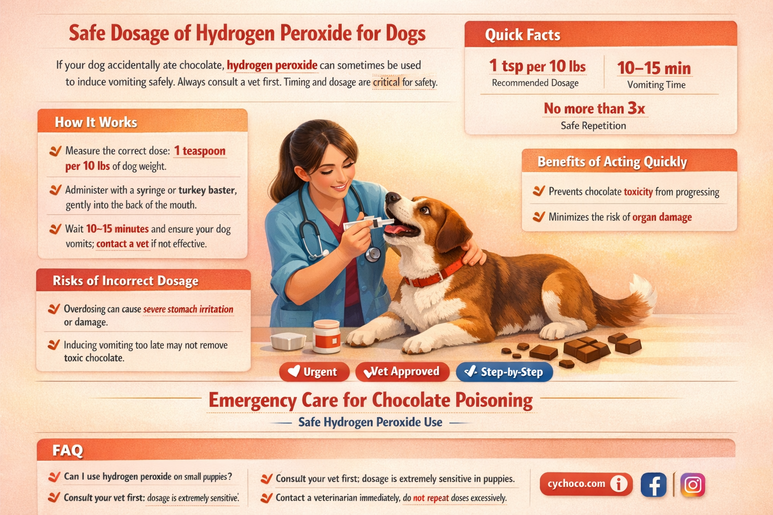 how much hydrogen peroxide for dog that ate chocolate