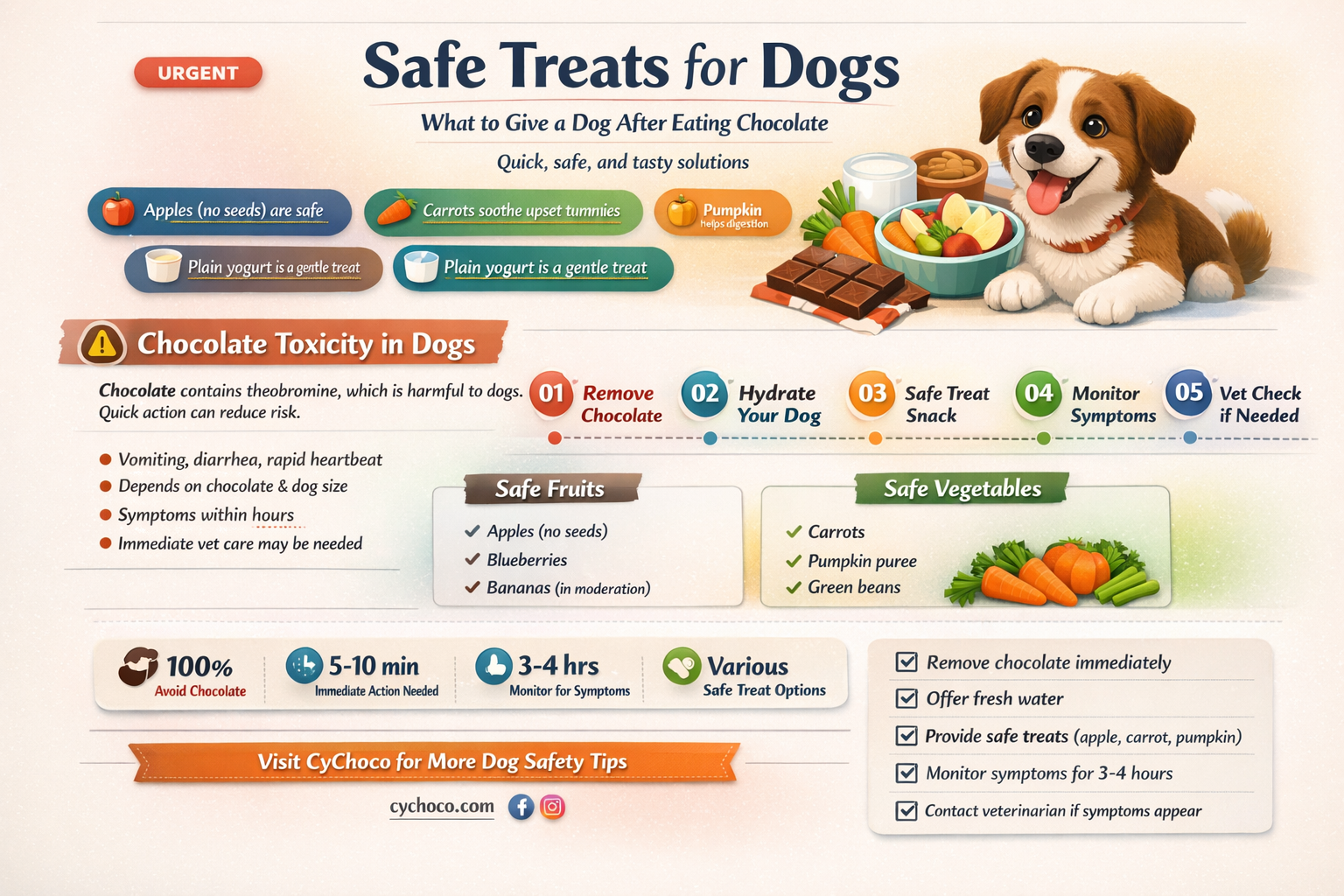 what to give a dog for eating chocolate