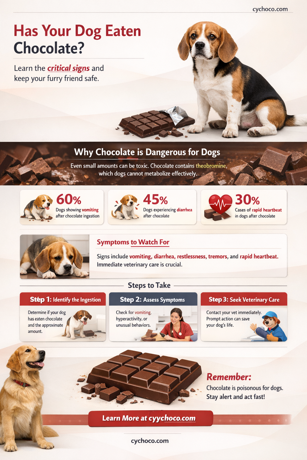 how to tell if a dog has eaten chocolate