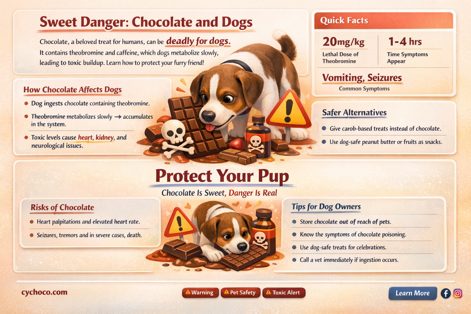 could dogs eat chocolate