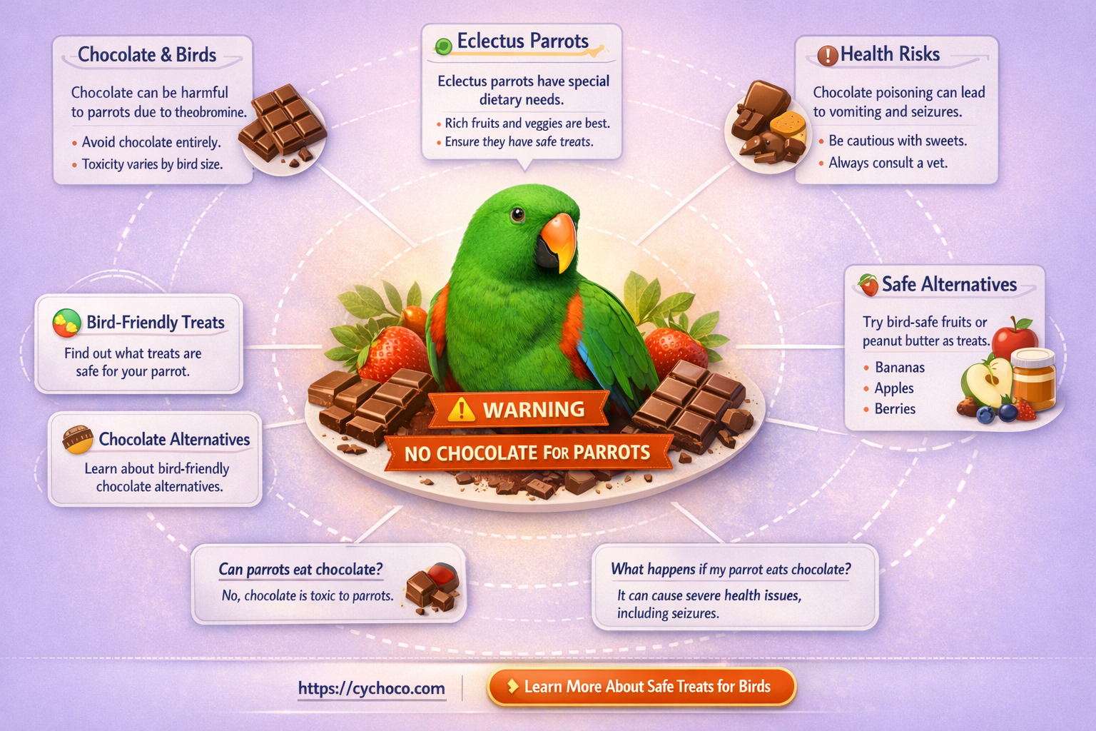 can eclectus parrots eat chocolate