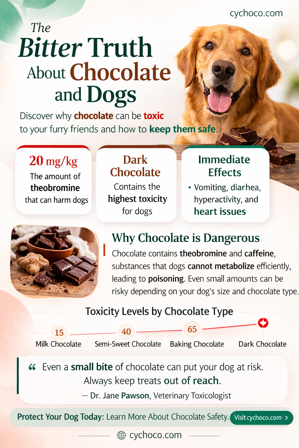 how much chocolate hurts a dog