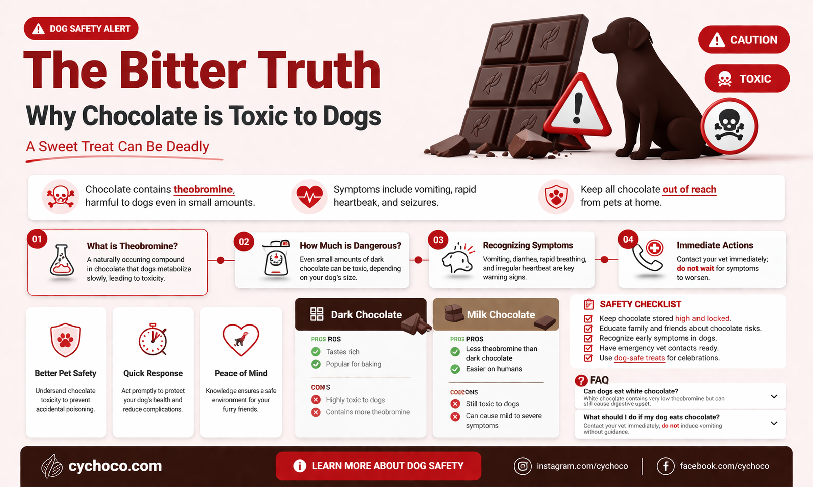 why are dogs not able to eat chocolate
