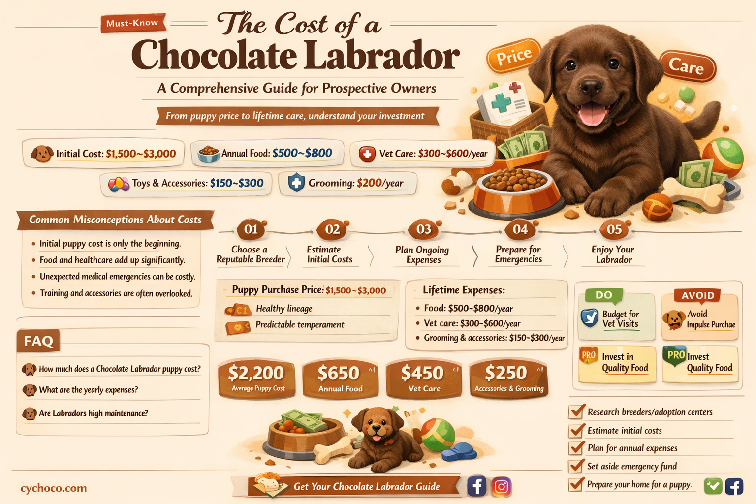 how much is a chocolate labrador