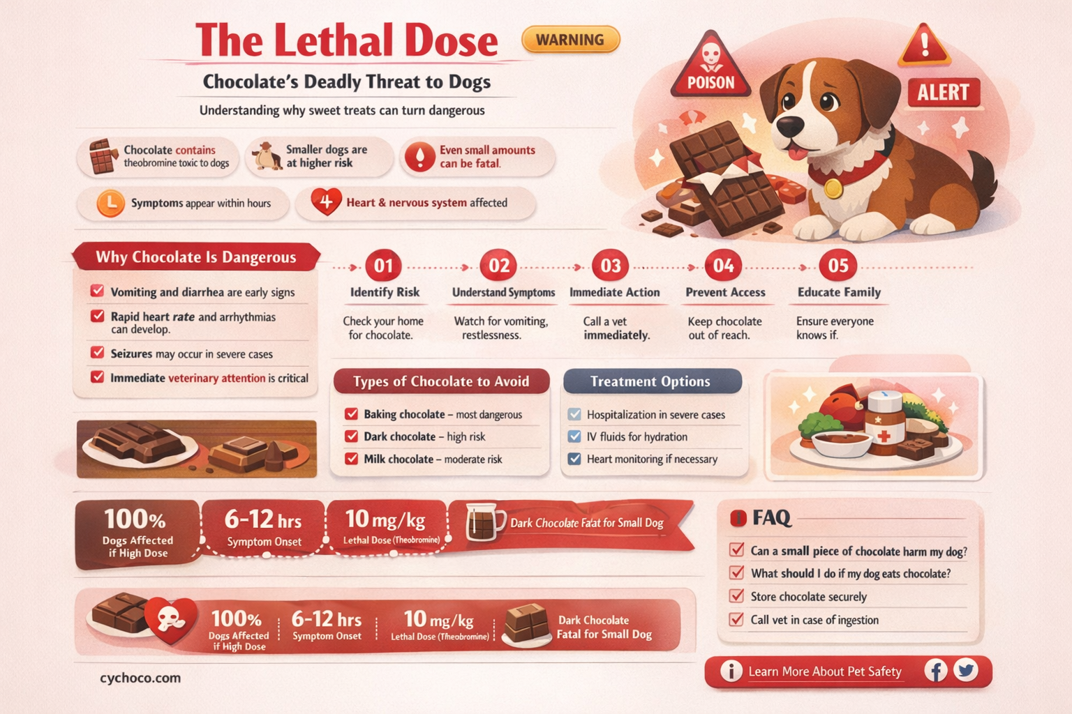 how much chocolate will it take to kill a dog