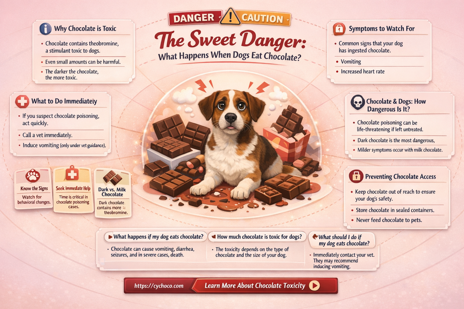 when dogs eat chocolate