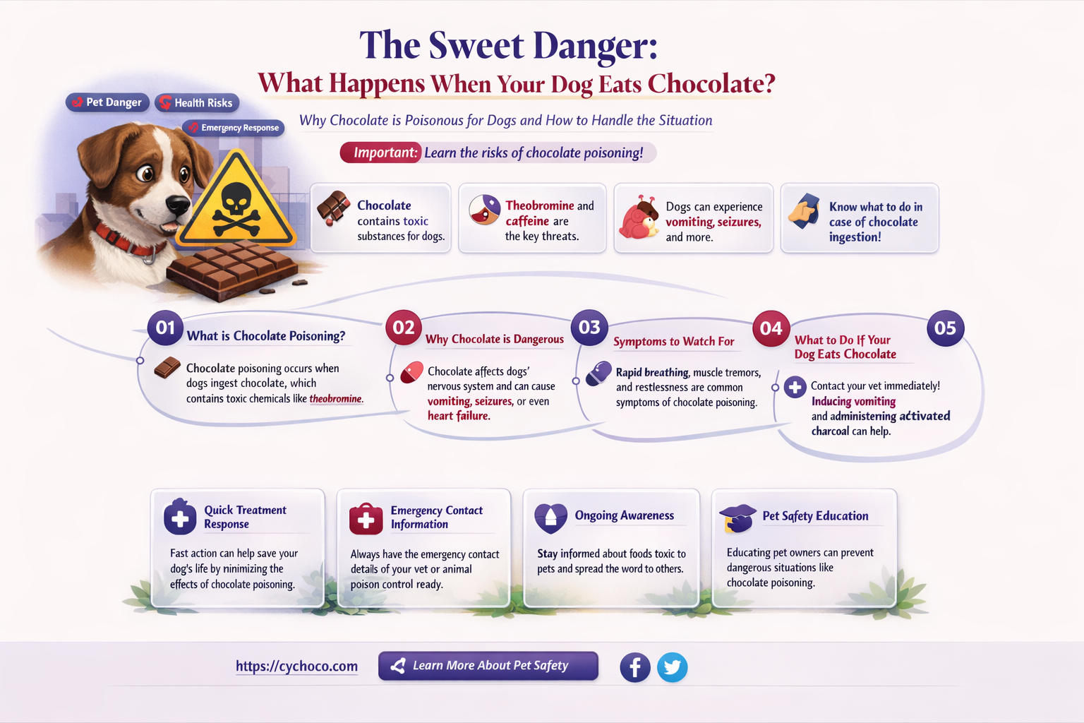 what happens when your dog eats chocolate