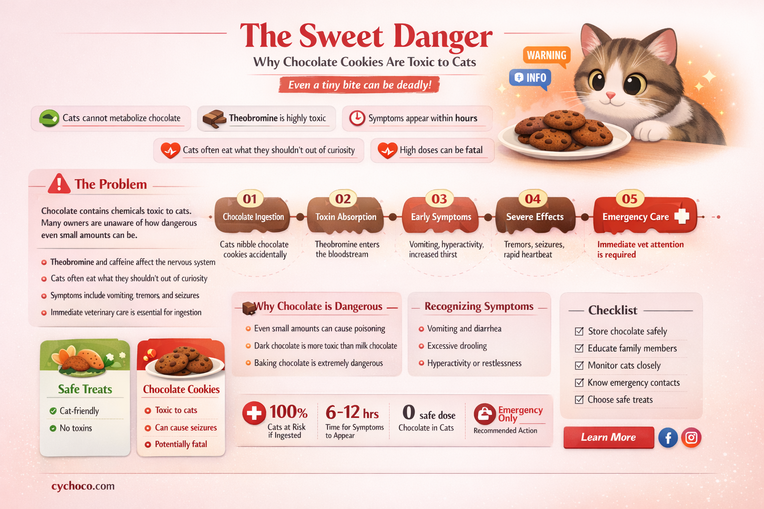 are chocolate cookies bad for cats