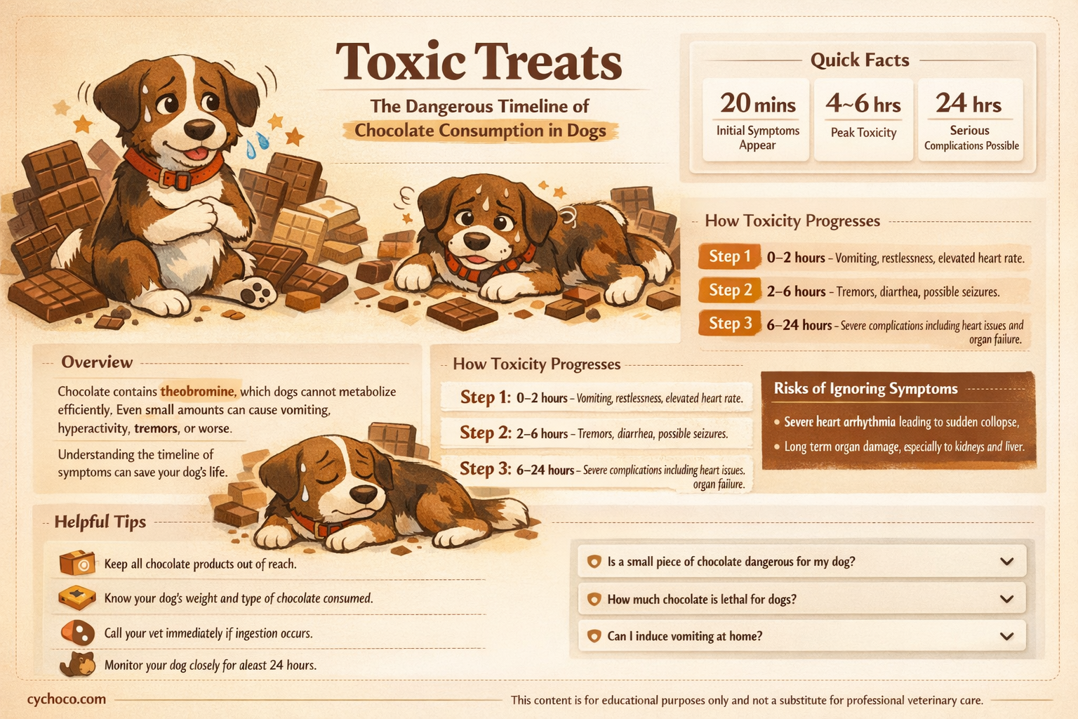 how long after a dog eats chocolate