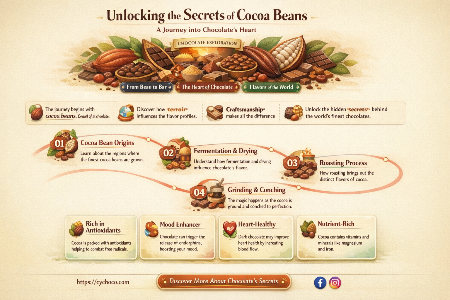 what is a cocoa bean