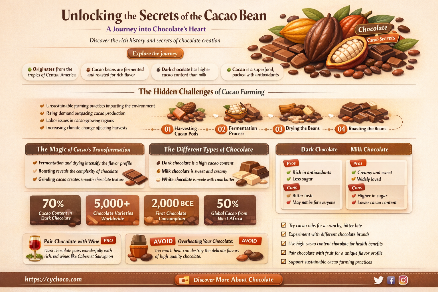 what is a cacao bean