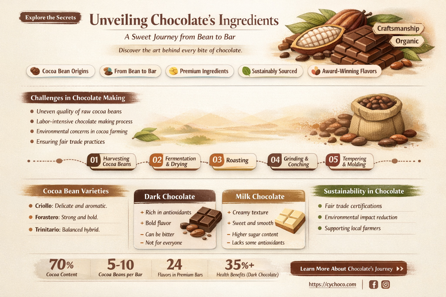 what is chocolate made out of