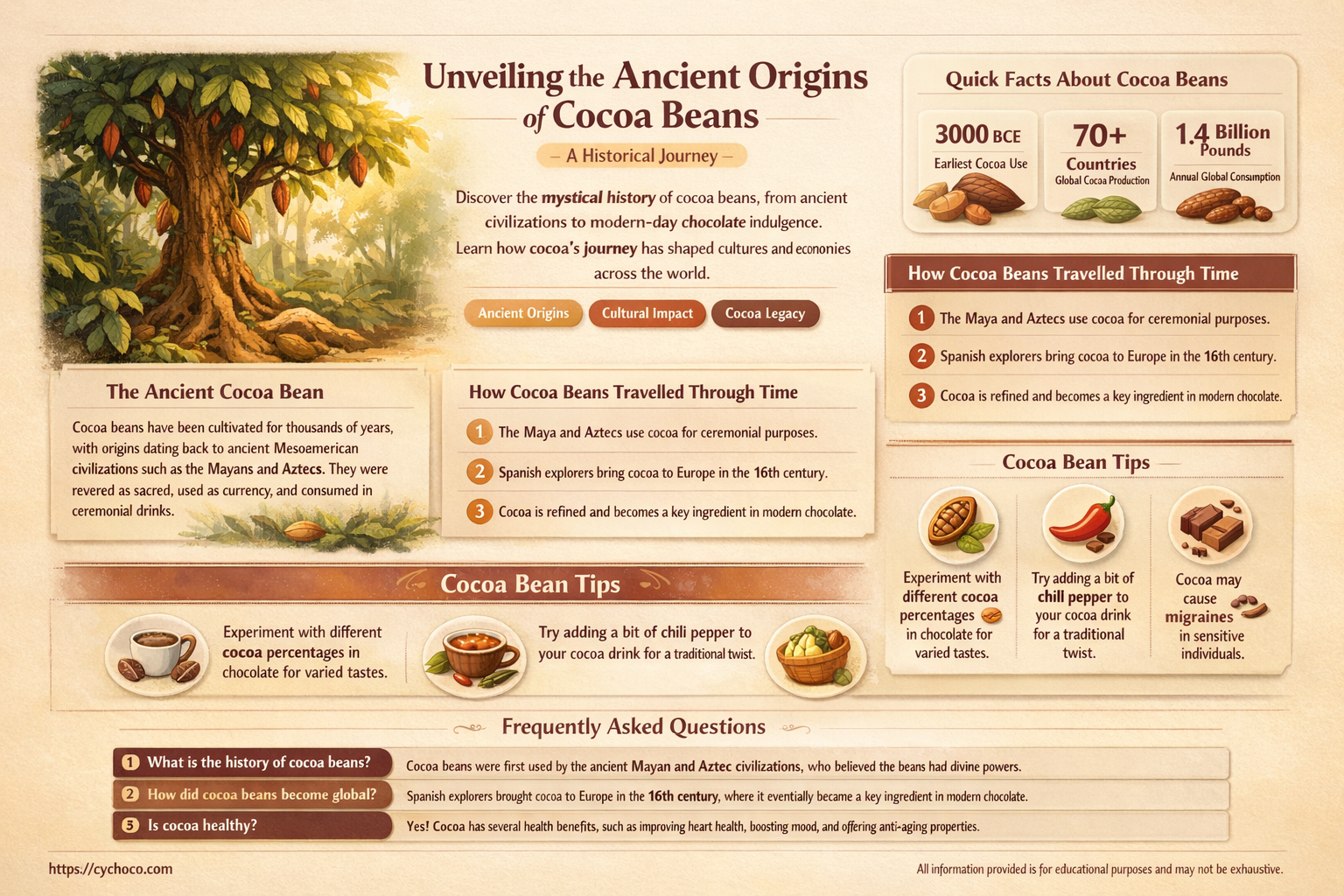 when was cocoa beans discovered