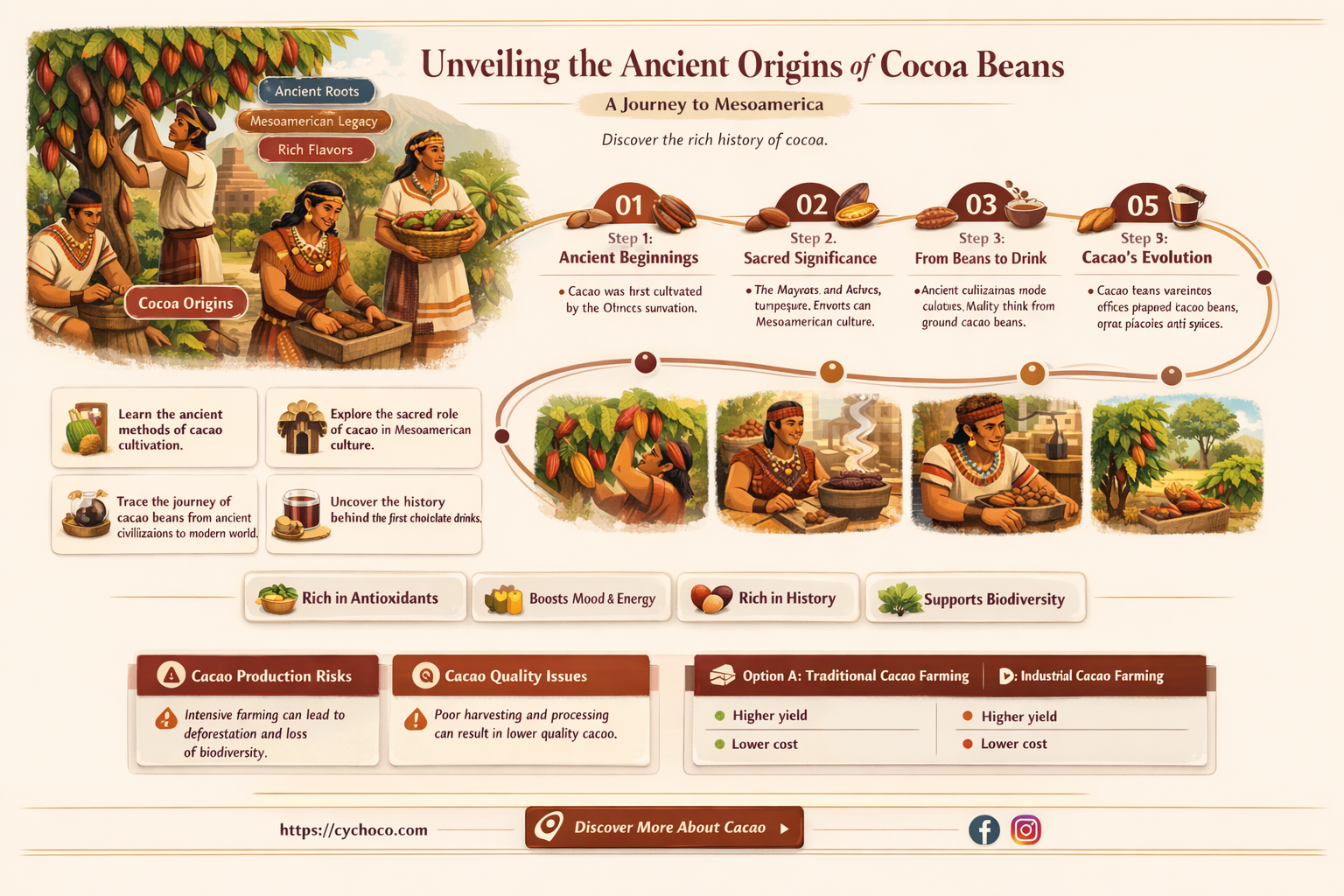 where do cocoa beans originate from