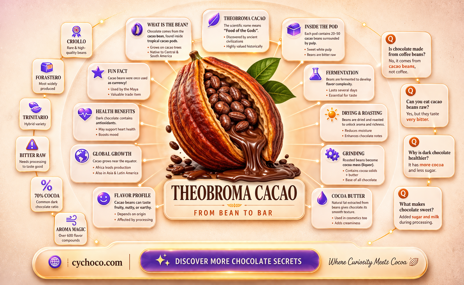 what bean is chocolate made from