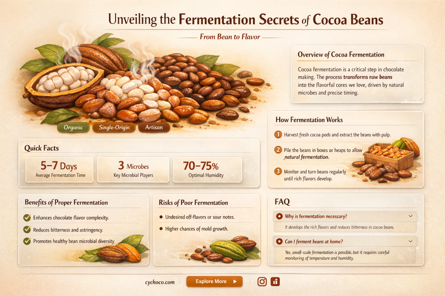 are cocoa beans fermented