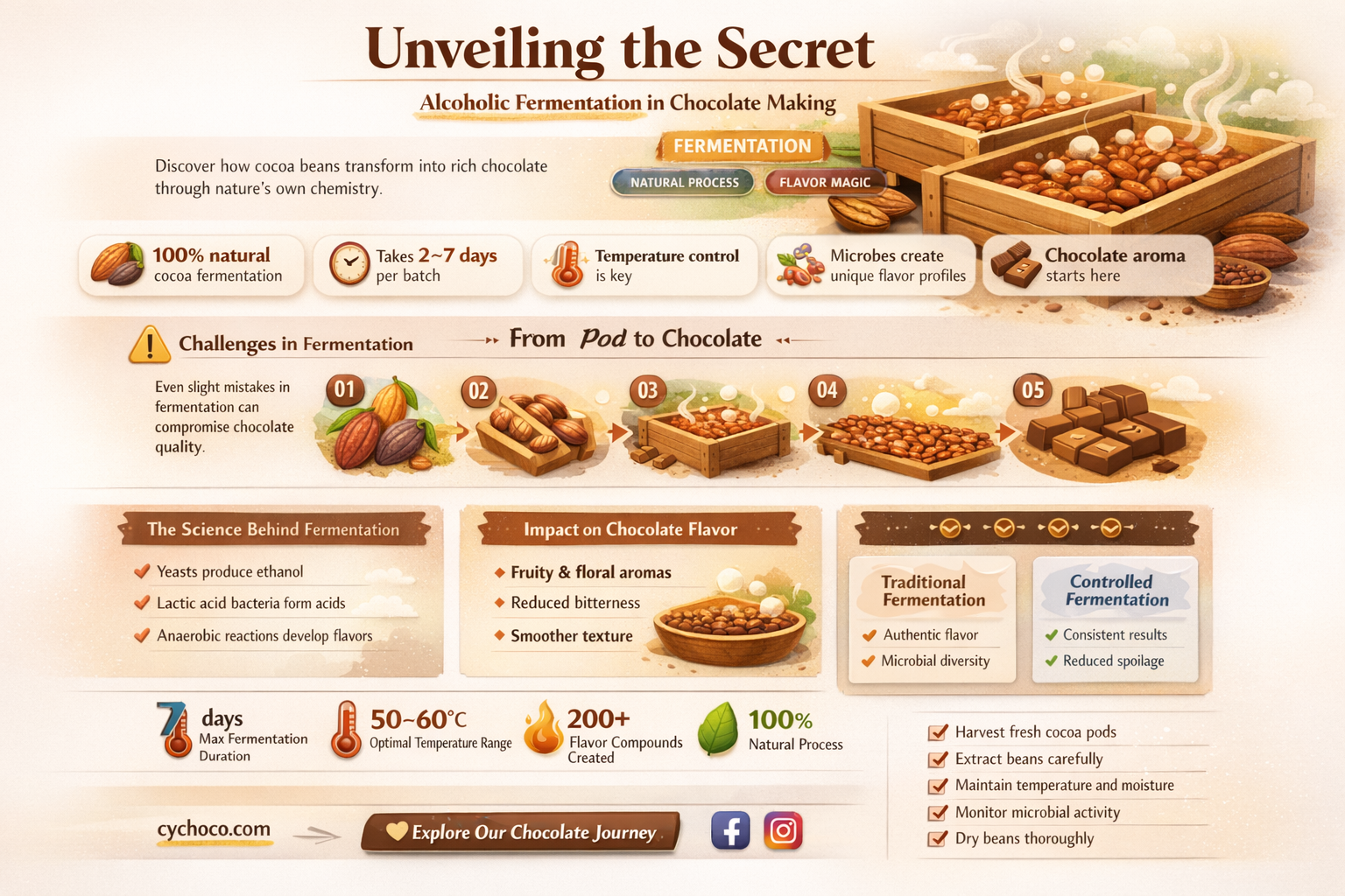 does making chocolate use alcoholic fermentation