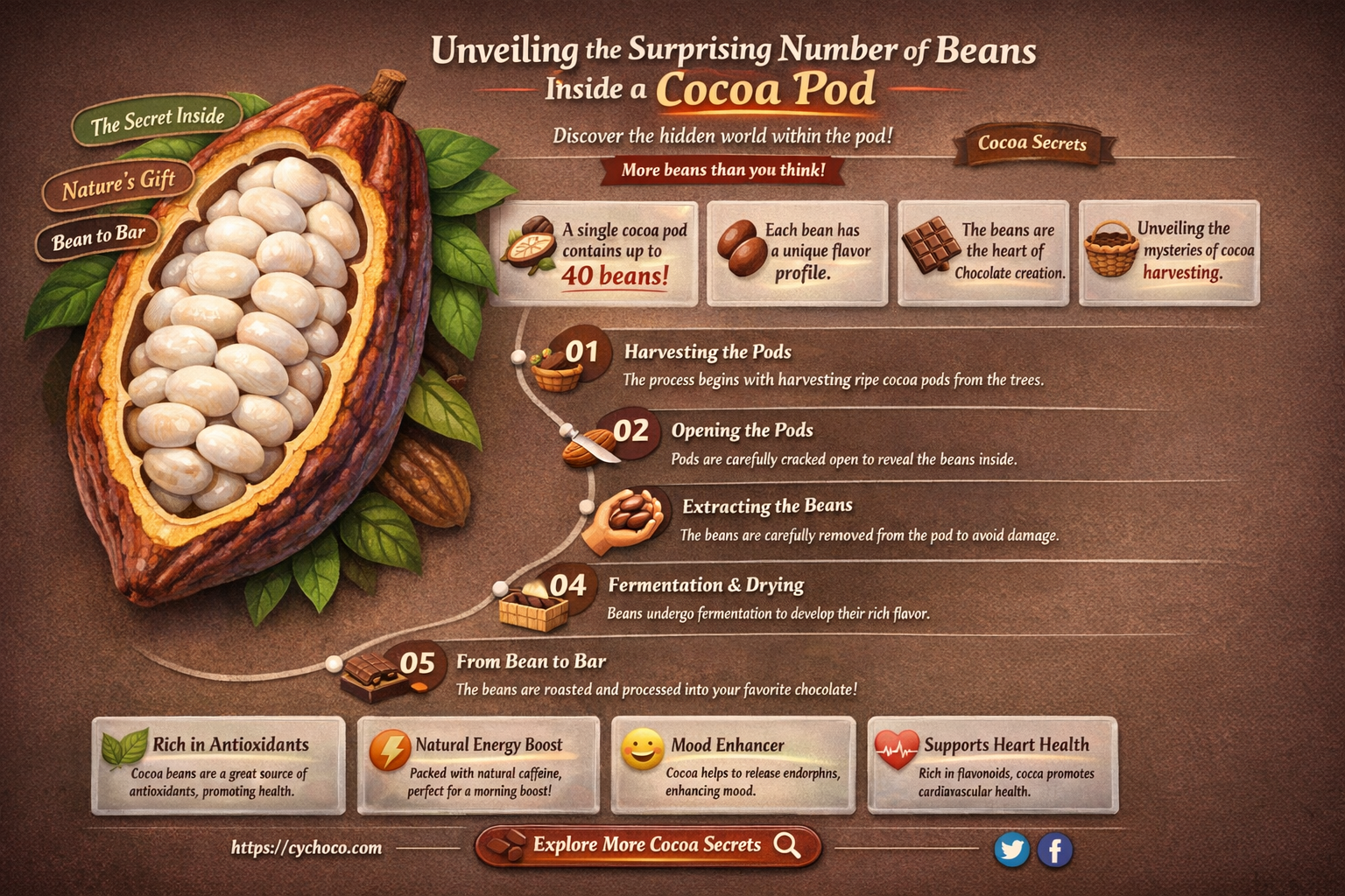 how many beans are in a cocoa pod
