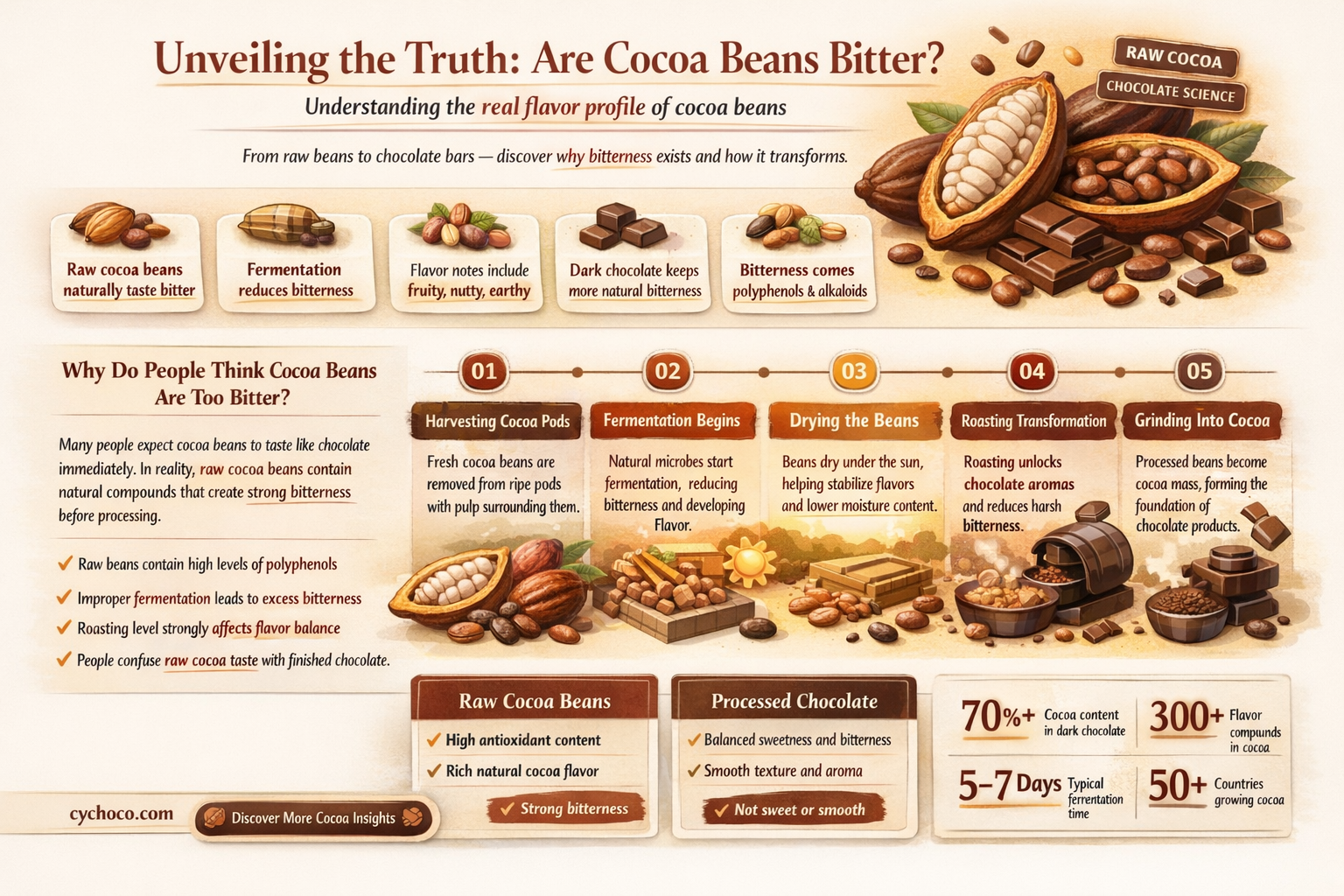 are cocoa beans bitter
