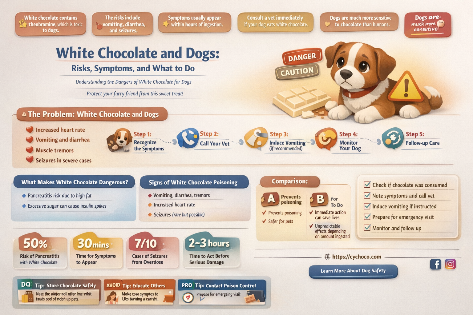 what happens if a dog eats white chocolate
