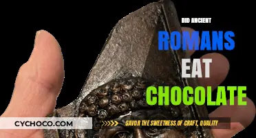 Sweet Secrets of the Past: Did Ancient Romans Indulge in Chocolate?