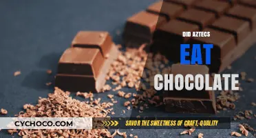Unveiling the Sweet Secrets of Aztec Cuisine: Chocolate's Role