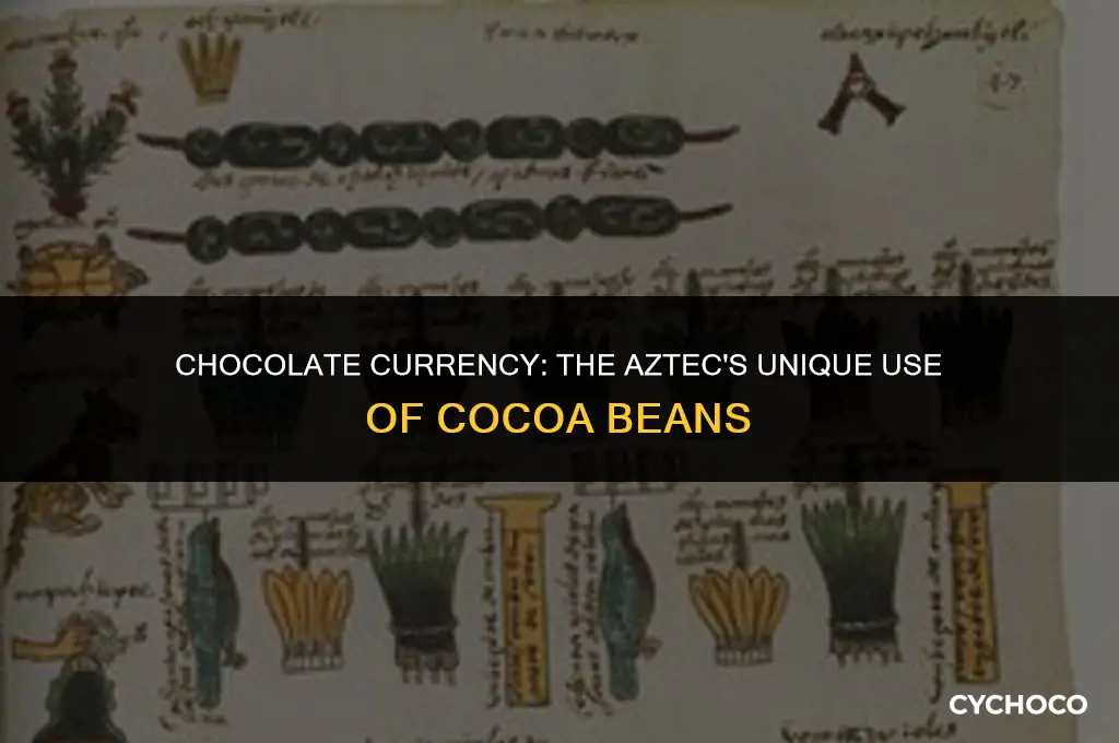 did aztecs use cocoa beans as money