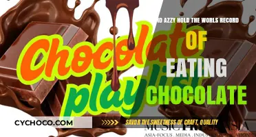 Did Azzy Hold the World Record of Eating Chocolate?