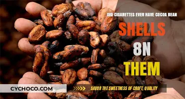 Unveiling the Truth: Cocoa Bean Shells in Cigarettes?