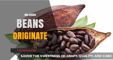 Unveiling the Ancient Origins of Cocoa Beans: A Delicious Journey