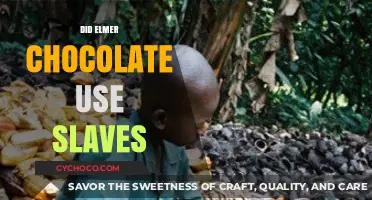 Elmer Chocolate and Slavery: Uncovering the Dark History