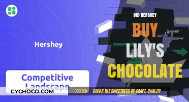 Decoding the Sweet Deal: Hershey's Acquisition of Lily's Chocolate