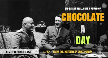 Decoding the Myth: Hitler's Alleged Chocolate Consumption