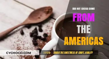 Unveiling the Origins: Did Hot Cocoa Come from the Americas?