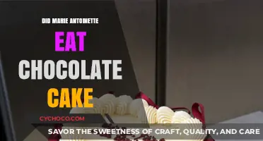 Indulgence or Innocence: Marie Antoinette's Chocolate Cake Controversy