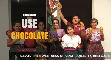 Unveiling the Mayan Chocolate Mystery: A Sweet Ancient Tradition