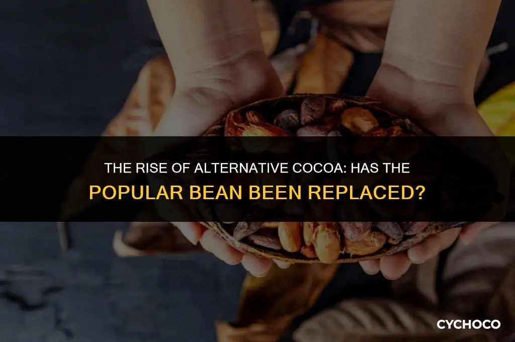did popular cocoa bean plant get replaced