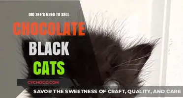 Did See's Candies Once Sell Chocolate Black Cats? Uncovering the Truth