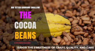 The Mystery of Tetteh Quarshie and the Cocoa Beans
