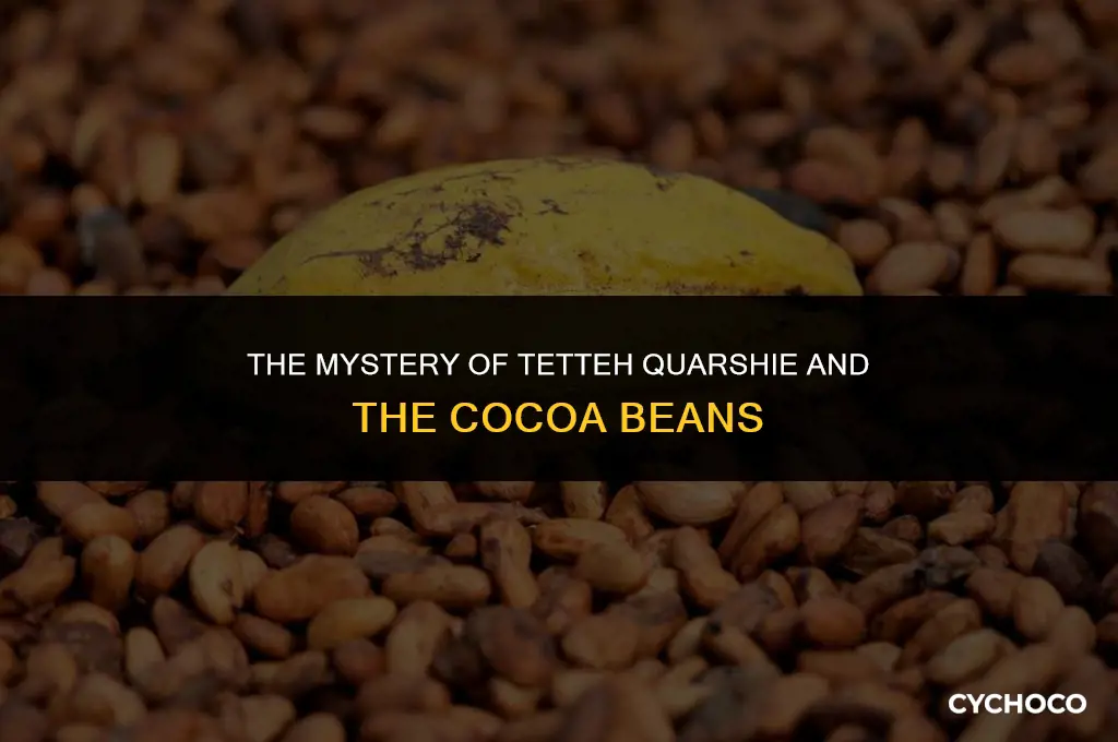 did tetteh quarshie swallow the cocoa beans